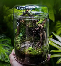 Load image into Gallery viewer, Glass Moss Plant Pots Vase Collection   Eco Bottle Micro Hole Landscape Glass Cover Perforated Moss Greenhouse Cup
