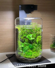 Load image into Gallery viewer, Glass Moss Plant Pots Vase Collection   Eco Bottle Micro Hole Landscape Glass Cover Perforated Moss Greenhouse Cup
