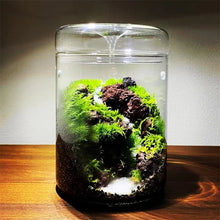 Load image into Gallery viewer, Glass Moss Plant Pots Vase Collection   Eco Bottle Micro Hole Landscape Glass Cover Perforated Moss Greenhouse Cup
